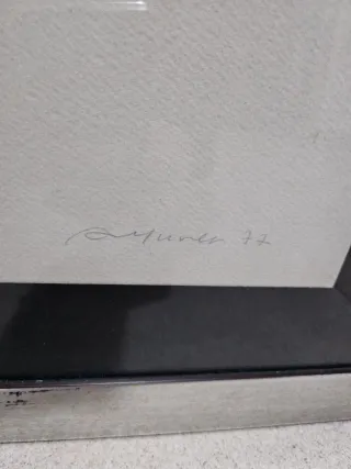 Quadro litografia Augusto Murer su carta incornici