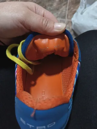 Zapatillas Etro Multicolor