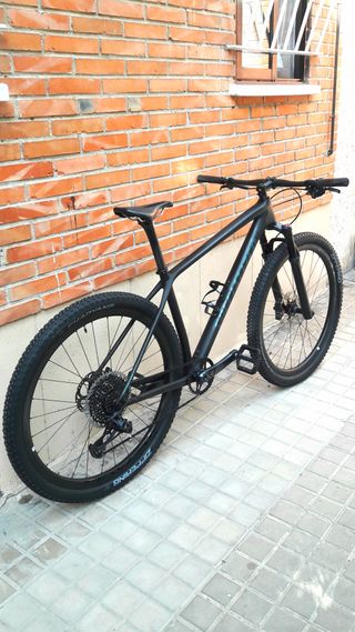 SPECIALIZED EPIC HARDTAIL PRO 2020. Talla L