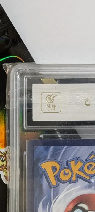 Pack Francisco José