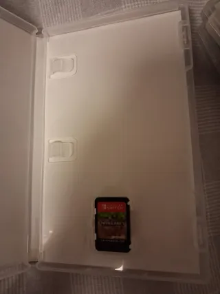 Minecraft Nintendo Switch