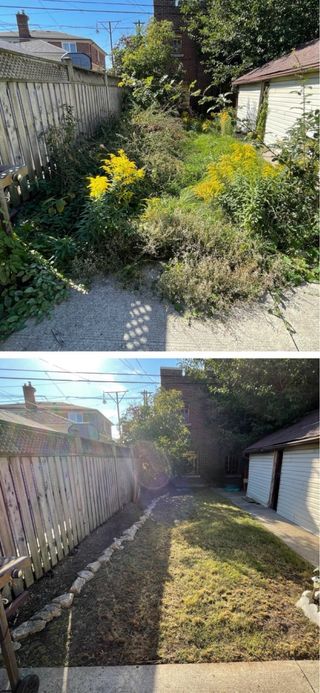 Servicios: Vaciado, Limpieza y Pintura