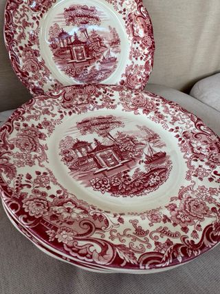 6 Platos La Cartuja Rosa 202