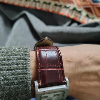 Gratis Reloj Sole Cuarzo Marrón/Plata
