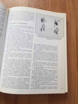 Futbol de la base a la cúspide