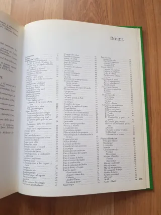 Futbol de la base a la cúspide