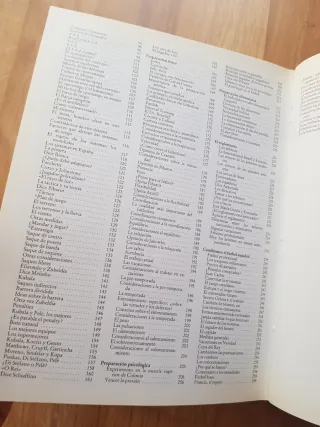 Futbol de la base a la cúspide