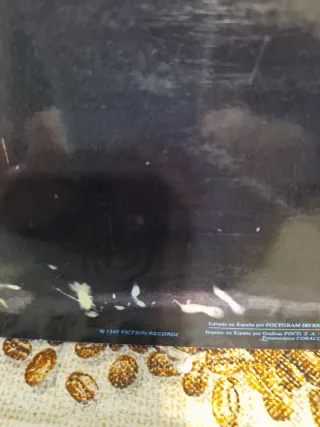 Vinilo The Cure The Head on the Door