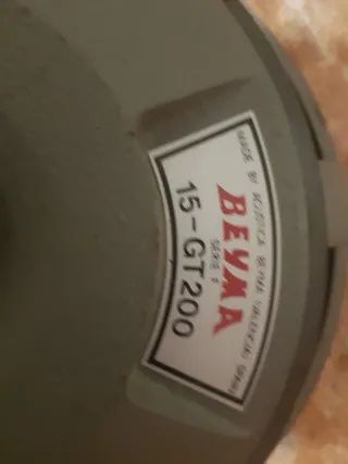 Beyma  15-GT200 15 pulgadas precio por los dos