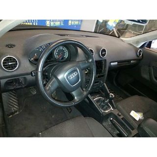 Despiece Audi A3 (8P) 2.0 TDI Limited Edition (103