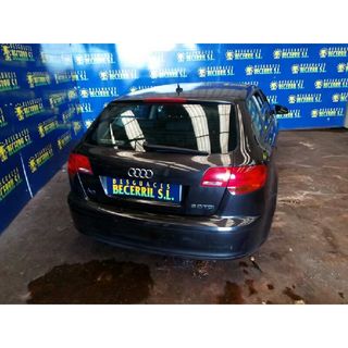 Despiece Audi A3 (8P) 2.0 TDI Limited Edition (103