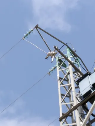 ELECTRICISTA 24 HORAS