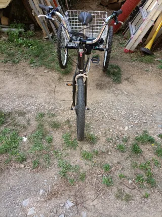 Triciclo eléctrico 250W sin usar sin bateria