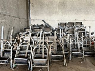 Parideras de cerdos con comedero