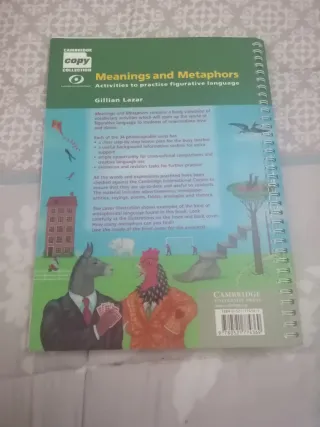 Meanings and Metaphors Activities to Practise F...
