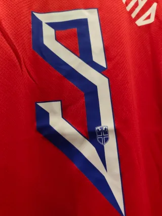 Camisola Noruega - Haaland