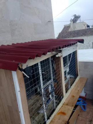 Pajarera Loros Dividida 2 Compartimentos