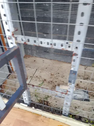 Pajarera Loros Dividida 2 Compartimentos