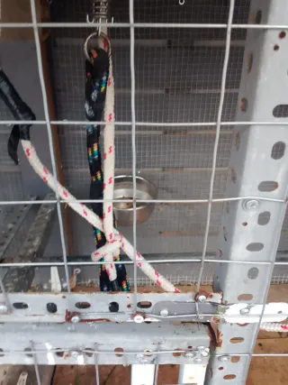 Pajarera Loros Dividida 2 Compartimentos