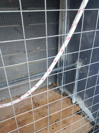 Pajarera Loros Dividida 2 Compartimentos