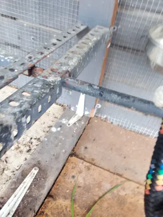 Pajarera Loros Dividida 2 Compartimentos