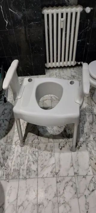Silla de baño con reposabrazos