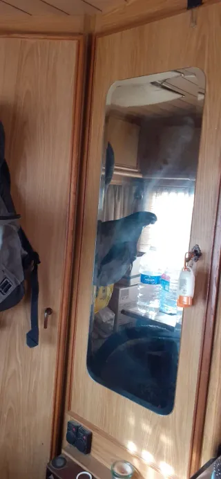 Autocaravana Fiat Ducato 1986