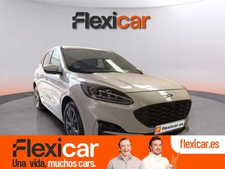 Ford Kuga ST-Line 2.0 EcoBlue 140kW 4x4 Auto