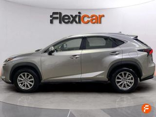 Lexus NX 2.5 300h Business 2WD