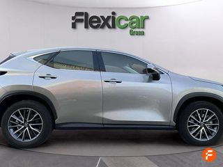 Lexus NX 350h Business City 4WD
