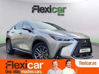 Lexus NX 350h Business City 4WD