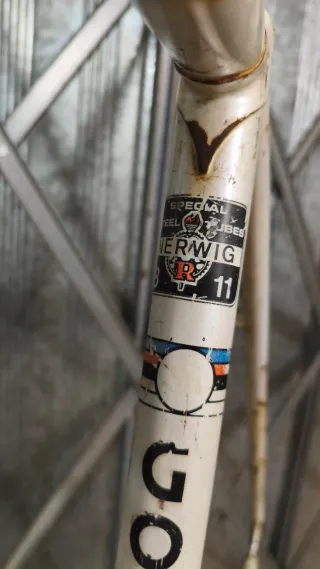 Quadro Gonzalez Nerwig Campagnolo / Gipiemme