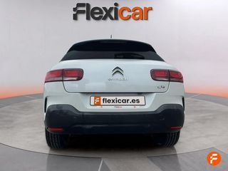 Citroën C4 Cactus PureTech 96kW (130CV) S&S Shine