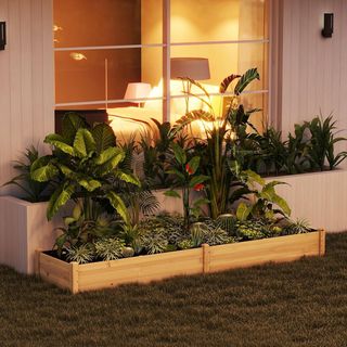 Cama para Huerto Elevada, Caja para Huerto de Madera de Abeto con Fondo Abierto y 2 Secciones Internas Separadas, 244X61,5X27Cm