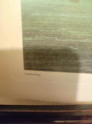 Litografía Rüdesheim de Lansinsky