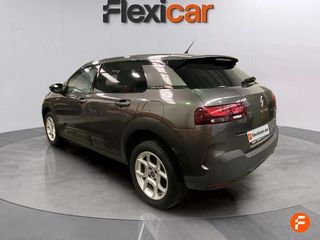 Citroën C4 Cactus PureTech 110 S&S Feel