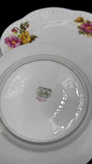 Piatto Shelley Begonia Bone China