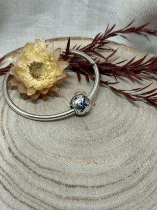 Charm Zodiaco Astrologia Constelaciones