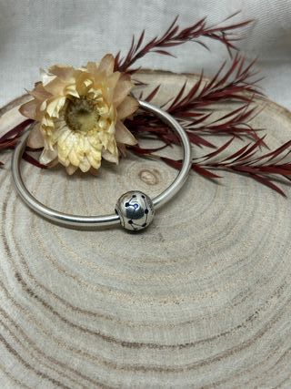 Charm Zodiaco Astrologia Constelaciones