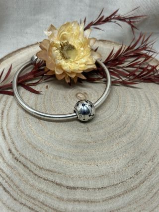 Charm Zodiaco Astrologia Constelaciones