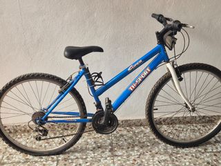 Bicicleta Azul Super Tri-Sport