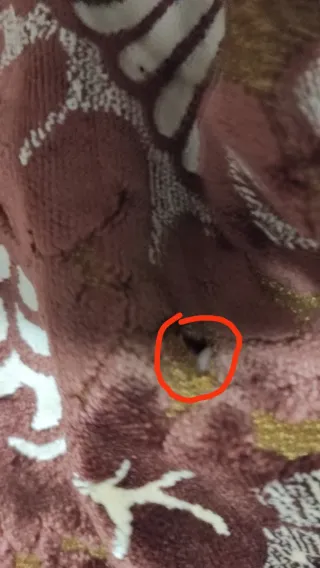 Tapete o falda de camilla antiguo