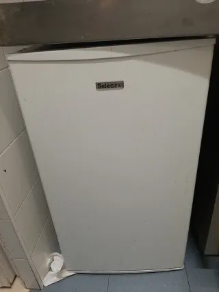 Mini nevera portátil