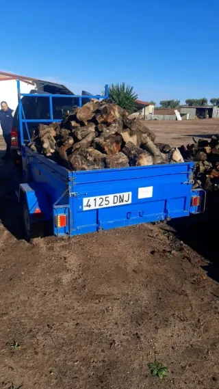 Leña de olivo para estufa/chimenea
