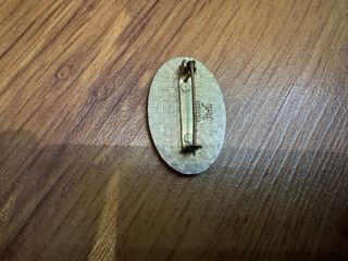 Insignia Socorrista (Cruz Roja)