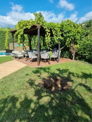 Servicio de tala y poda de árboles