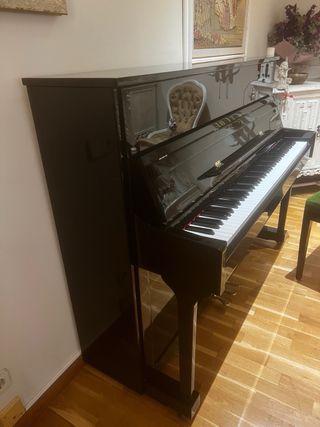 Piano Vertical Pearl River UP-118-M Poco uso