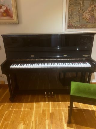 Piano Vertical Pearl River UP-118-M Poco uso