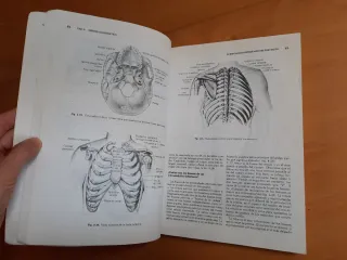 Anatomía y fisiología