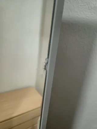 Armario de madera con espejo